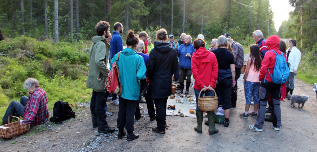 1 Myko svamputflykt Segersjön 150806